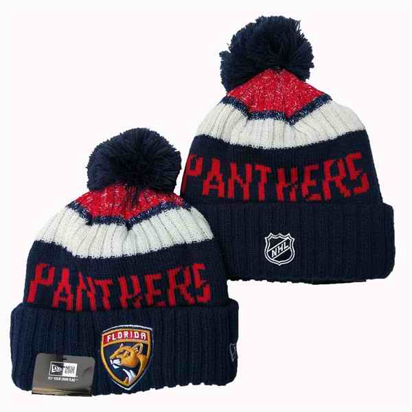 Florida Panthers Knit Hats 001